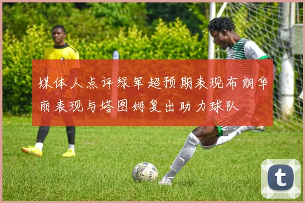 媒体人点评绿军超预期表现布朗华丽表现与塔图姆复出助力球队