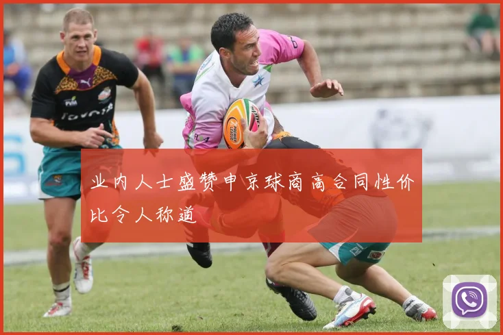 业内人士盛赞申京球商高合同性价比令人称道
