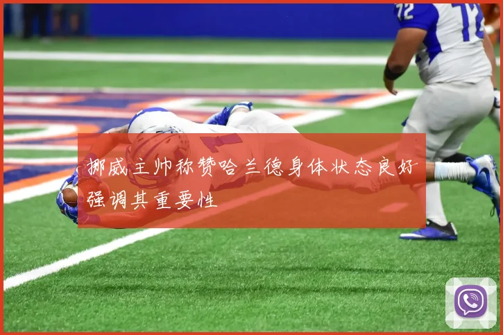 挪威主帅称赞哈兰德身体状态良好强调其重要性