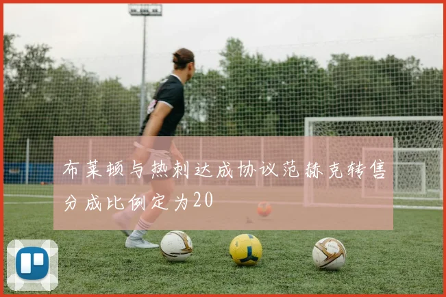 布莱顿与热刺达成协议范赫克转售分成比例定为20