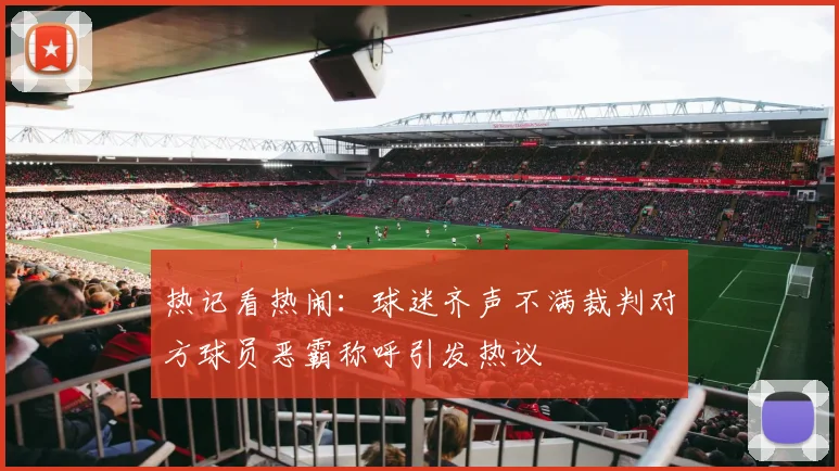 热记看热闹：球迷齐声不满裁判对方球员恶霸称呼引发热议